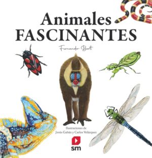 Portada del producto:  Animales fascinantes