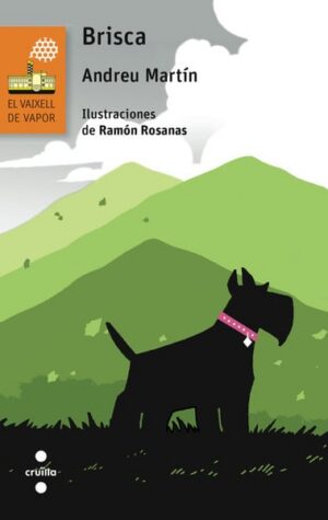 Portada del producto:  Brisca