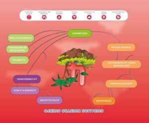 Portada del producto:  SD Alumno. Emergencias 112 (Nivel 2). Explora