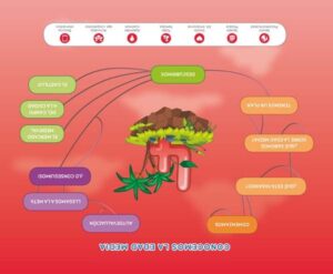 Portada del producto:  SD Alumno. Mercado Medieval (Nivel 2). Explora