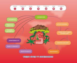 Portada del producto:  SD Alumno. Mercado Medieval (Nivel 3). Explora
